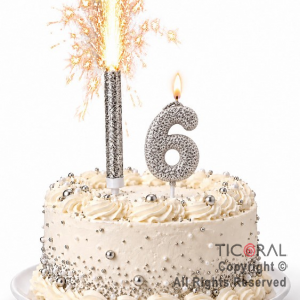 SET BENGALA Y VELA NUMERAL NUMERO 6 CON GIBRE PLATA